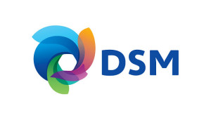 DSM_logo